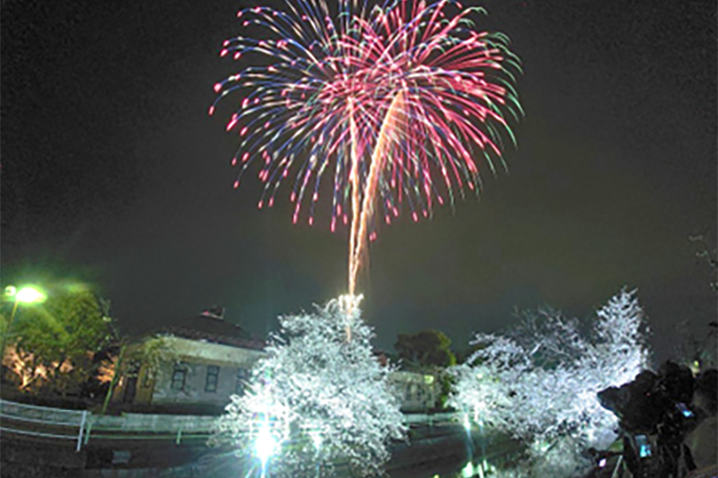 神戸町ばら公園　いこいの広場